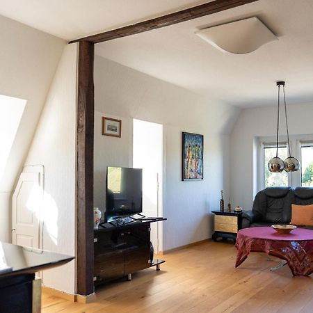 Apartment In Villa Rochlitz Ngoại thất bức ảnh